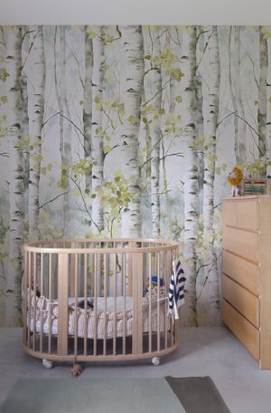 Papier peint pvc Forêt betula multicolore