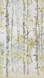 Papier peint pvc Forêt betula multicolore