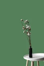 Papier peint intissé Lisse mat INSPIRE vert