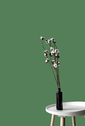 Papier peint intissé Lisse mat INSPIRE vert