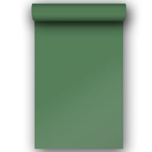 Papier peint intissé Lisse mat INSPIRE vert