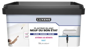 Peinture plafond mat LUXENS Neuf ou bon état 5L