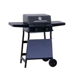Barbecue gaz 2 brûleurs gris / argent / noir