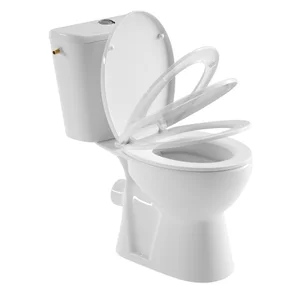 Pack WC à poser sortie horizontal sans bride (sans rebord) Essential SENSEA