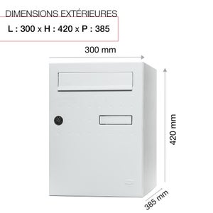 Boîte à colis normalisée ECLIPSE acier blanc mat RENZ, 1 porte extérieure
