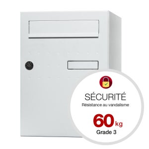 Boîte à colis normalisée ECLIPSE acier blanc mat RENZ, 1 porte extérieure