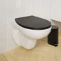 Abattant wc thermodur remix frein chute declip noir sensea