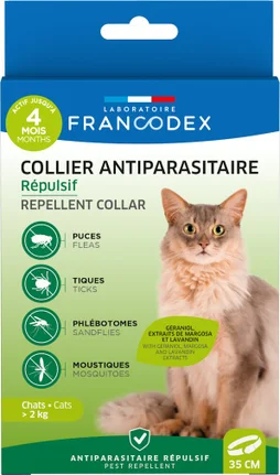 Collier insectifuge chat