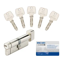 Cylindre de serrure BRICARD Astral + à bouton L.40 + 40mm 5 clés