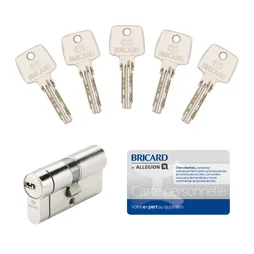 Cylindre de serrure BRICARD Astral + L.30 + 30mm 5 clés
