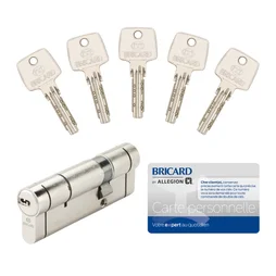 Cylindre de serrure BRICARD Astral + débrayable L.30 + 60mm 5 clés