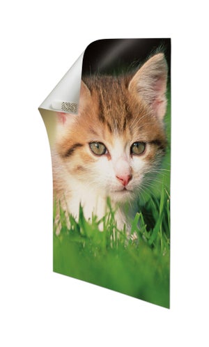 Languette poster petit modele blanc lot de 12