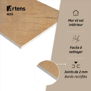 Carrelage sol/mur intérieur effet  l.20 x L.120 cm ARTENS