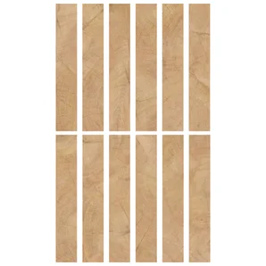 Carrelage sol/mur intérieur effet  l.20 x L.120 cm ARTENS