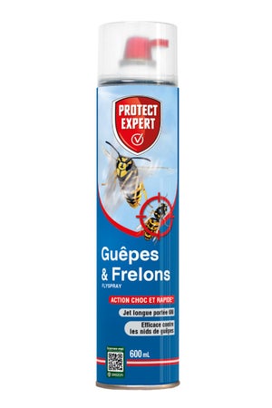 Insecticide aérosol guepes 600 ml protect expert