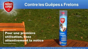 Insecticide aérosol guepes 600 ml protect expert