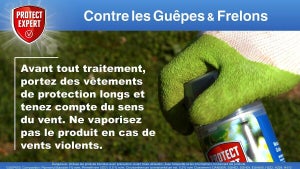 Insecticide aérosol guepes 600 ml protect expert