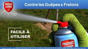 Insecticide aérosol guepes 600 ml protect expert