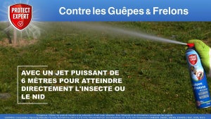 Insecticide aérosol guepes 600 ml protect expert