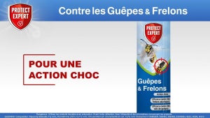Insecticide aérosol guepes 600 ml protect expert