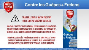 Insecticide aérosol guepes 600 ml protect expert