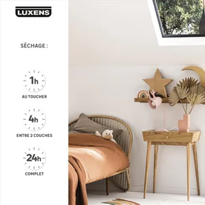 Peinture mur, plafond, boiserie blanc velours LUXENS Couvrant 10L