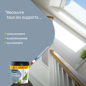 Peinture mur, boiserie, radiateur satin LUXENS Couvrant 10L+20% gratuit