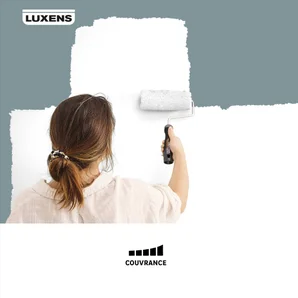 Peinture mur, boiserie, plafond blanc mat LUXENS Couvrant 10L