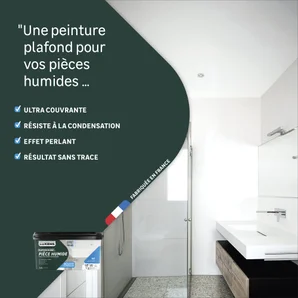 Peinture plafond blanc LUXENS mat Pièce humide 2.5L