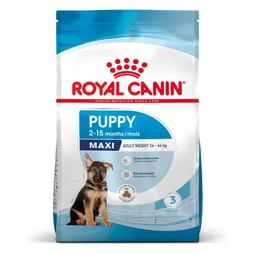 Croquette chiot maxi royal canin  12kg