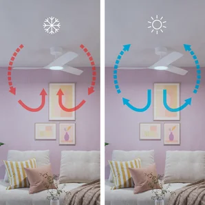 Ventilateur de plafond aruba+ d112cm led 2200lm cct/dim blanc inspire