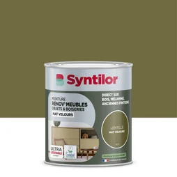 Peinture de rénovation meuble et objet SYNTILOR lentille velours 0,25L