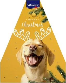 Calendrier de l'avent pour chien