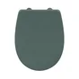Abattant wc thermodur click & clean classic frein chute declip vert