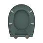 Abattant wc thermodur click & clean classic frein chute declip vert