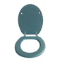 Abattant wc mdf sans fonction vert dark forest bemis