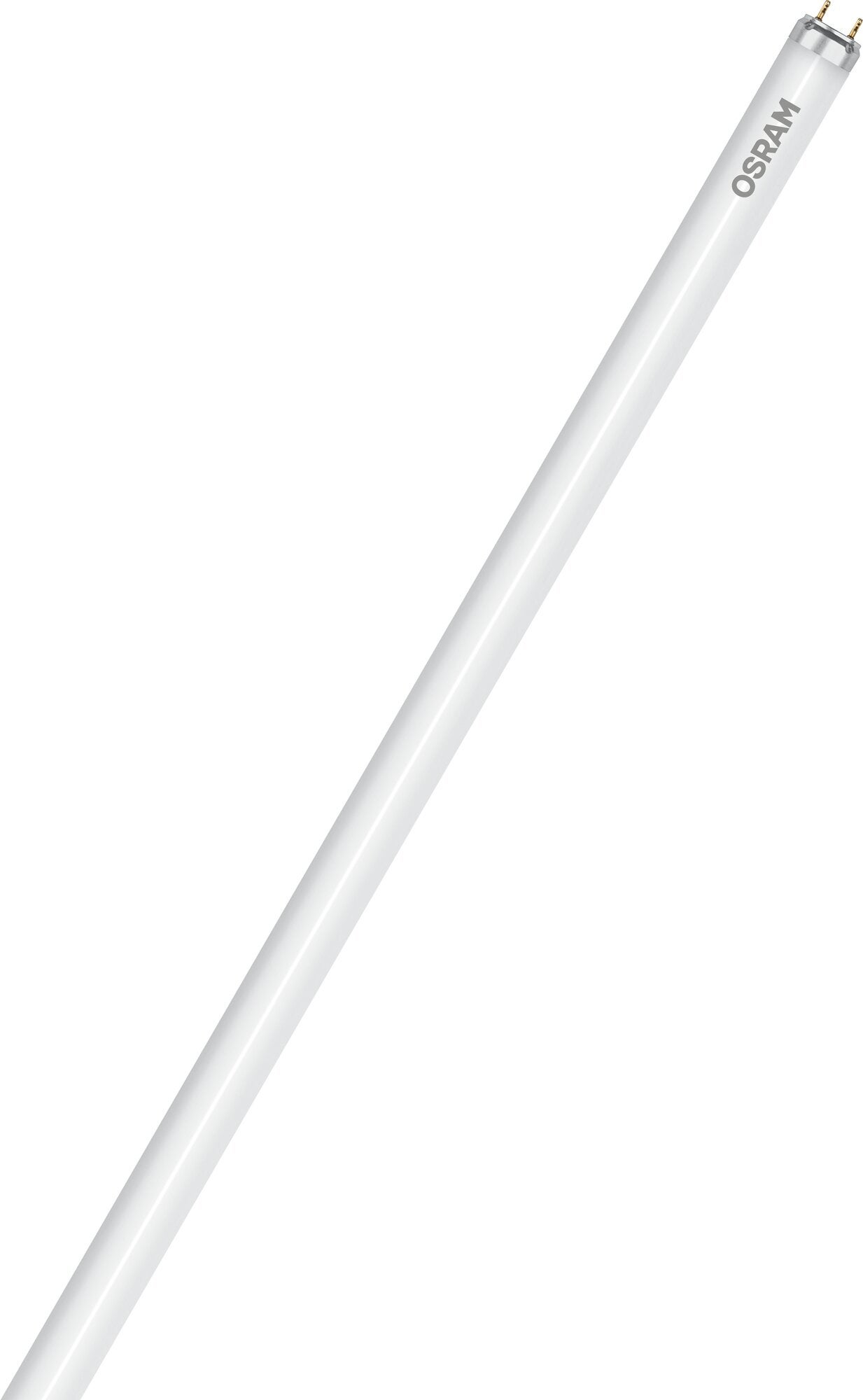 Accessoires : Accessoires et sacs - Filtre mousse pour aspirateur Accessoires : Accessoires et sacs - Filtre mousse pour aspirateur